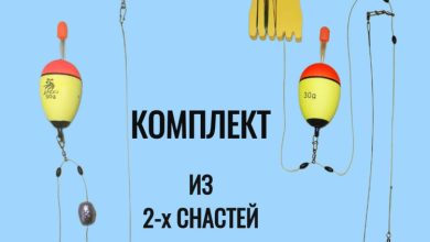 Photo of Ловля щуки на живца