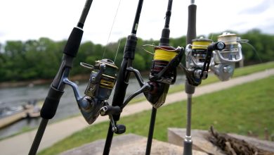 Photo of Как выбрать правильную удочку